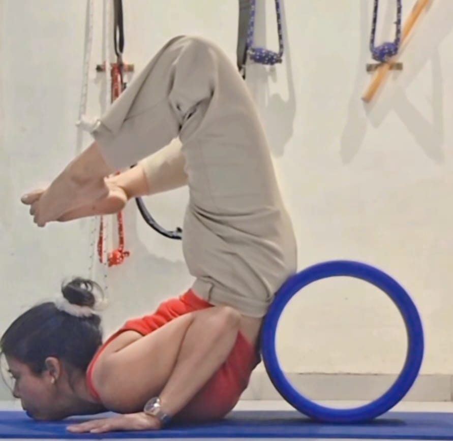 Forearm stand practiced with a yoga wheel